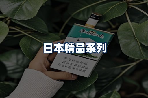 日本烟展示